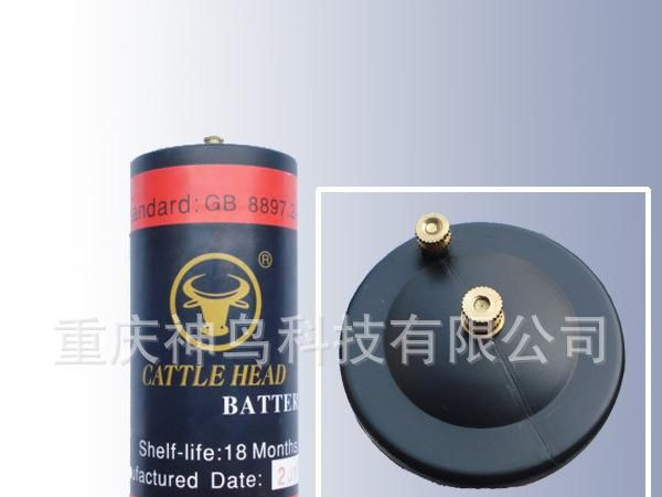 厂家直销物理实验仪器电池