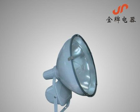 ZT6900防水防尘防震投光灯