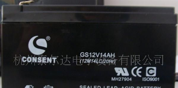 供应6V系列衡器专用-铅酸免维护蓄电池