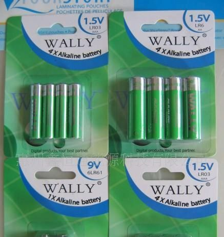 批发供应WALLY系列照相机配套5号环保碱性电池
