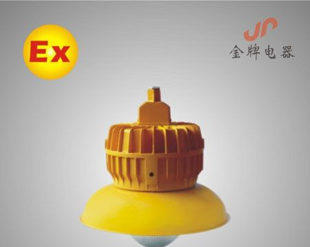 BPC8710防爆平台灯