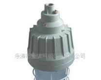BAD61隔爆型防爆灯
