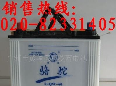 供应骆驼蓄<font color=red>电池</font>、骆驼电瓶、骆驼<font color=