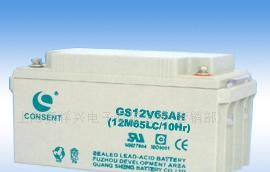 供应光盛12V65AH蓄电池 铅酸免维护