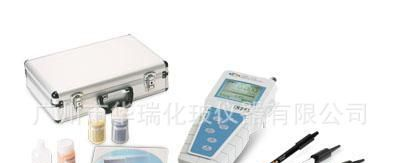DZB-718C型便携式多参数分析仪