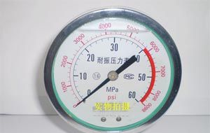 供应普特YTN100耐震压力表（双刻度表盘）