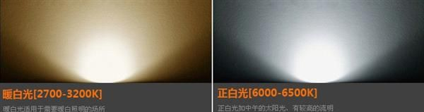 装饰LED3*1W天花灯  黑纹雕花面  适用于背景墙、室内空间