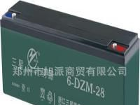 三星6-DZM-28电动车蓄电池 厂价直销