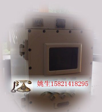 防爆变频器BPJ-90/660江西 福建生产厂家报价