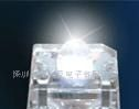 供应低光衰食人鱼白光LED