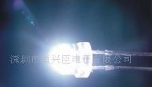 供应筒灯白光LED