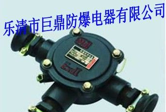 供应BHD2-25/3防爆接线盒
