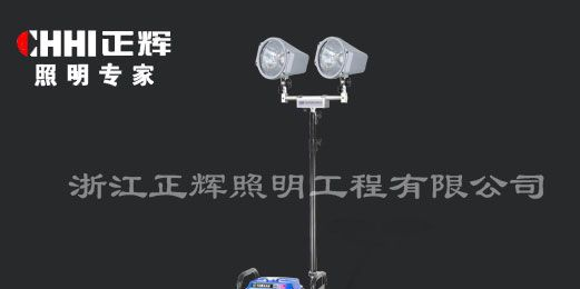 供应型号SFD6000F便携式升降工作灯