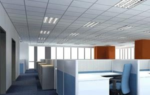 【批发供应】LED日光灯  LED灯管  T5灯管 外置电源