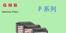 供应美国GNB蓄电池