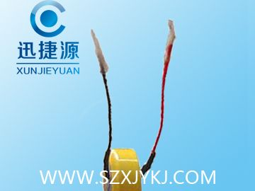 供应CR2450带线电池
