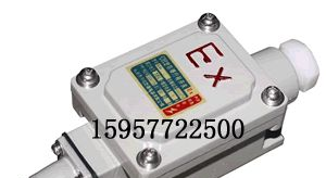 供应DLXK-20L防爆行程开关，滚轮柱塞式防爆行程开关