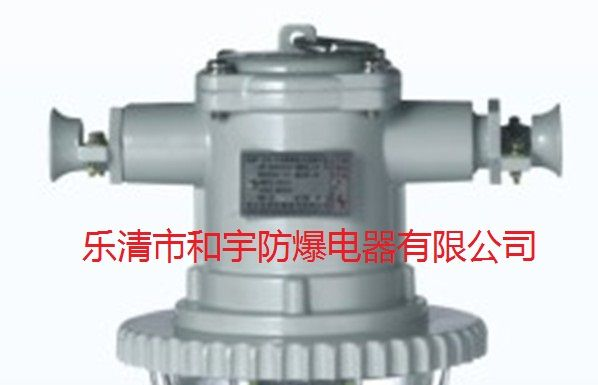 供应和宇DGS12/127L(A)矿用隔爆型巷道灯LED巷道灯