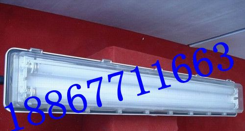 BAY51-1*40防爆荧光灯，BAY51-1*40防爆型荧光灯