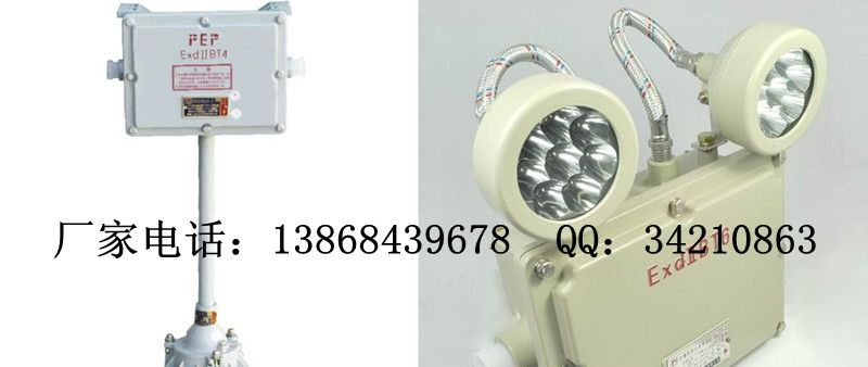 供应BAJ52系列防爆应急灯(IIB、IIC) BAJ52-A/BAJ52-B/BAJ52-C/BAJ52-D防爆应急灯