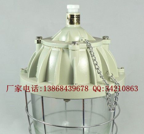 供应BAD58系列隔爆型防爆灯(IIB) BAD58-400W防爆灯