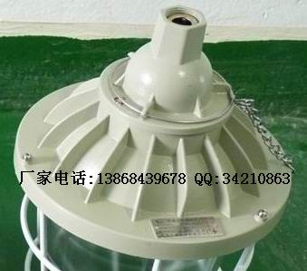 BAD56系列隔爆型防爆灯(IIC) BAD56-ExdIICT4隔爆灯