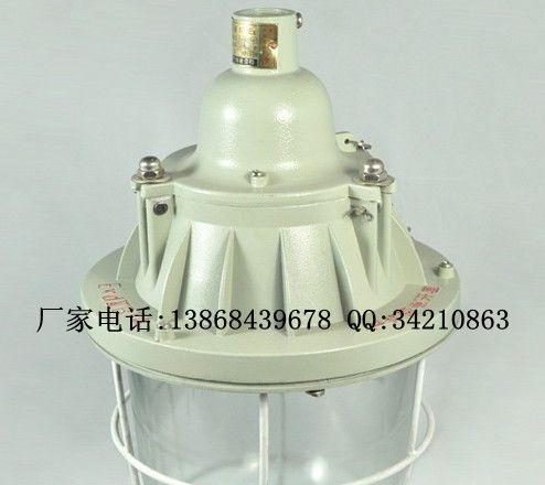 供应BAD54系列隔爆型防爆灯(IIB) BAD54隔爆灯