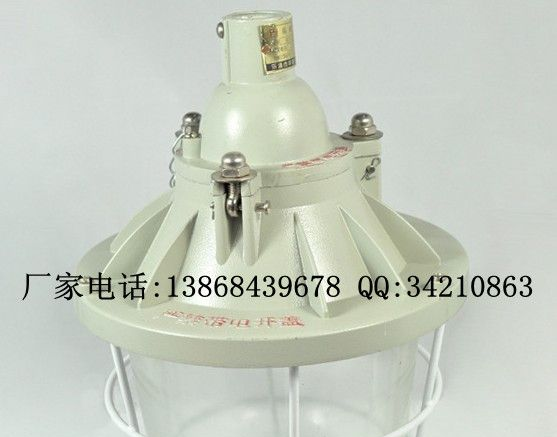 供应BAD51系列隔爆型防爆灯(IIB) BAD51防爆白炽灯