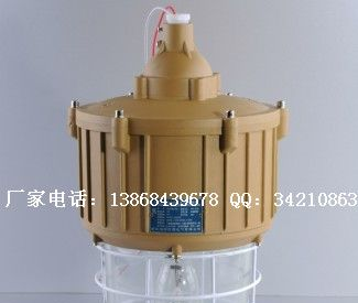供应BAD1102系列隔爆型防爆灯(IIB、IIC) BAD1102防爆灯
