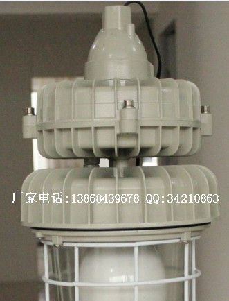 供应BAD81系列隔爆型防爆灯(无极灯)(IIC) BAD81防爆无极灯)