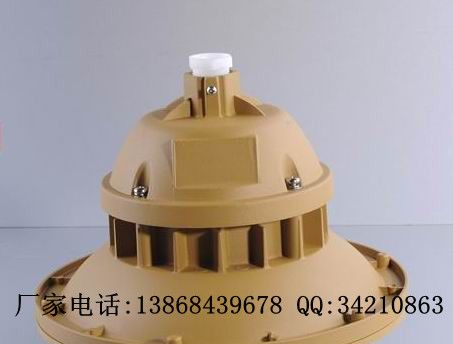 供应BAD95系列防爆防腐灯（无极灯）(IIC) BAD95防爆无极灯