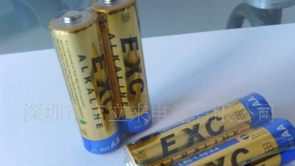 供应CE认证碱性AA 5号电池 06-14