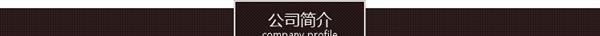 厂家销售固态继电器 单相固态继电器CDSSR-1 DD 2410