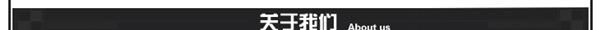 供应T919防狼手电筒 户外手电筒 大功率