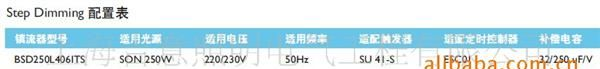 供应飞利浦高压钠灯调光镇流器BSD400L406TS 可变功率400W