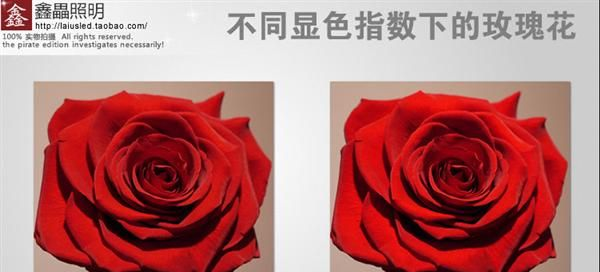 高品质、超轻、高显指、内置电源LED 筒灯