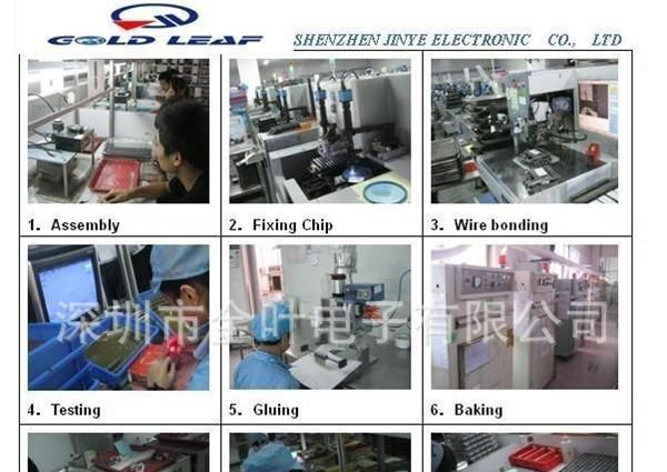 供应LED显示屏,4位白色LED 显示屏