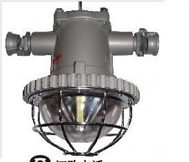供应12W DGS12/127l(A)隔爆型LED巷道灯