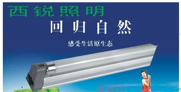 T5一体化(三插)支架灯/T5一体化高功率因数0.95支架灯/支架灯