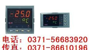 NHR-5310A-14/X-0/0/2/X/X-A新虹润智能PID调节器