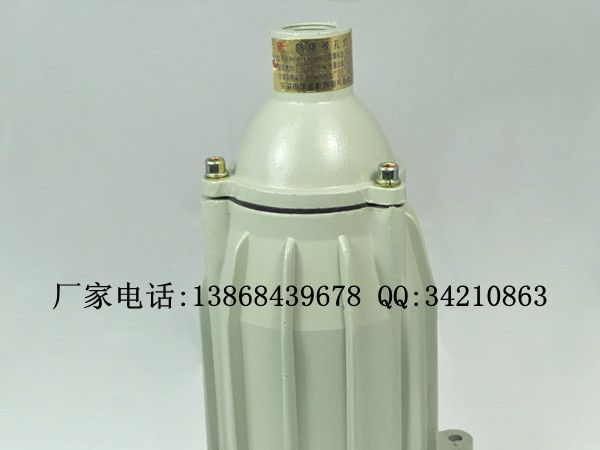 BAK51系列防爆视孔灯(IIC) BAK51-60/BAK51-100防爆视孔灯(IIB)