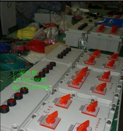 供应、温州防爆照明配电箱