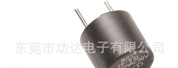 Bussmann SR-5-T200mA250V保险丝 黑色圆柱型慢断