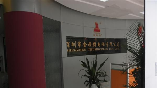 厂家直销LR1电池