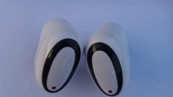 美国和台湾110V电压通用的 花生壳5V1A USB美规充电器