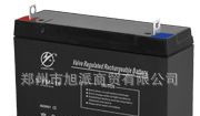 三星3-FM-10蓄电池 厂价直销