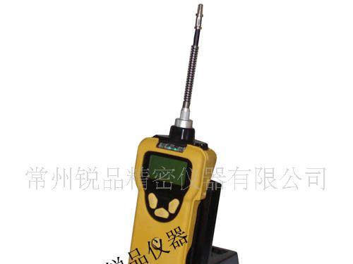 美国华瑞 泵吸/扩散式四合一可燃气/氧气/毒气检测仪 PGM-2400