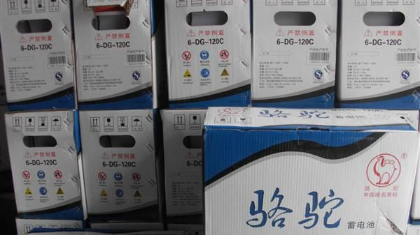 乐清 柳市镇 批发 6-DG-120C  骆驼电池 电瓶  蓄电池