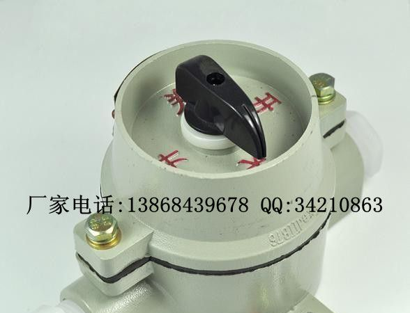 BZM-10系列防爆照明开关 220V防爆照明开关 380V防爆照明开关