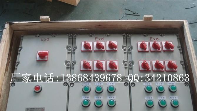 BXM(D)53系列防爆照明（动力）配电箱(IIB、IIC) BXM53防爆照明动力配电箱